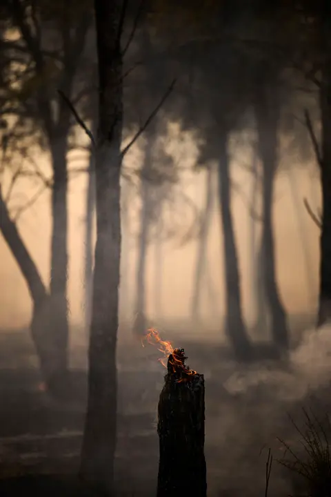 Efectivos de Bomberos, Policía Foral, Guardia Civil, aviones y helicópteros trabajan para sofocar el incendio forestal declarado en Carcastillo. PABLO LASAOSA