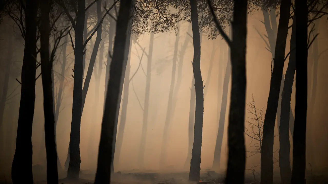 Efectivos de Bomberos, Policía Foral, Guardia Civil, aviones y helicópteros trabajan para sofocar el incendio forestal declarado en Carcastillo. PABLO LASAOSA