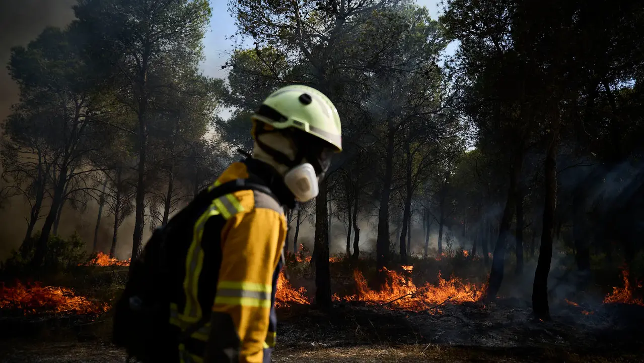 Efectivos de Bomberos, Policía Foral, Guardia Civil, aviones y helicópteros trabajan para sofocar el incendio forestal declarado en Carcastillo. PABLO LASAOSA