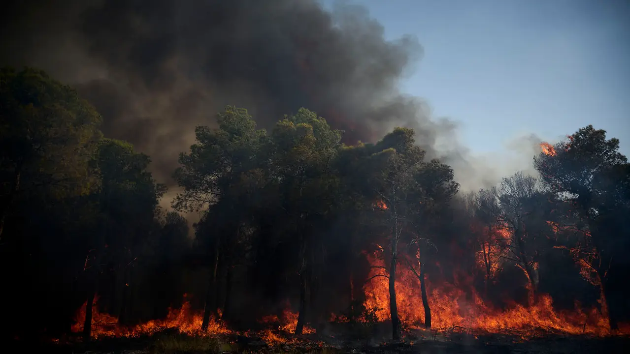 Efectivos de Bomberos, Policía Foral, Guardia Civil, aviones y helicópteros trabajan para sofocar el incendio forestal declarado en Carcastillo. PABLO LASAOSA