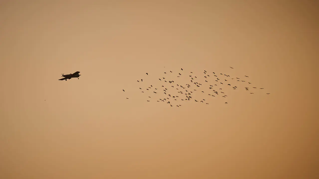 Efectivos de Bomberos, Policía Foral, Guardia Civil, aviones y helicópteros trabajan para sofocar el incendio forestal declarado en Carcastillo. PABLO LASAOSA