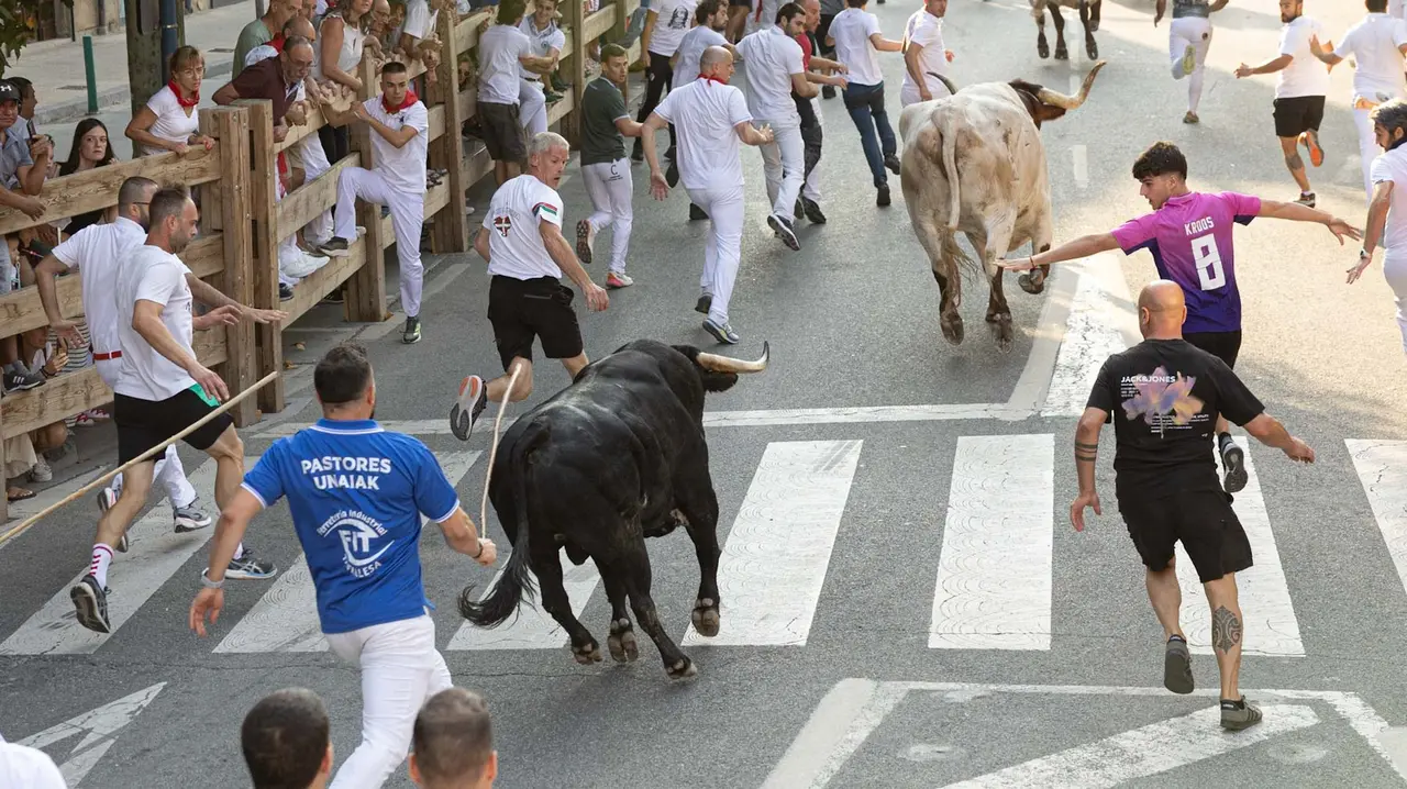 Primer encierro de Tafalla 2025 con toros de la ganadería del Conde de la Corte. Maite H. Mateo..-01