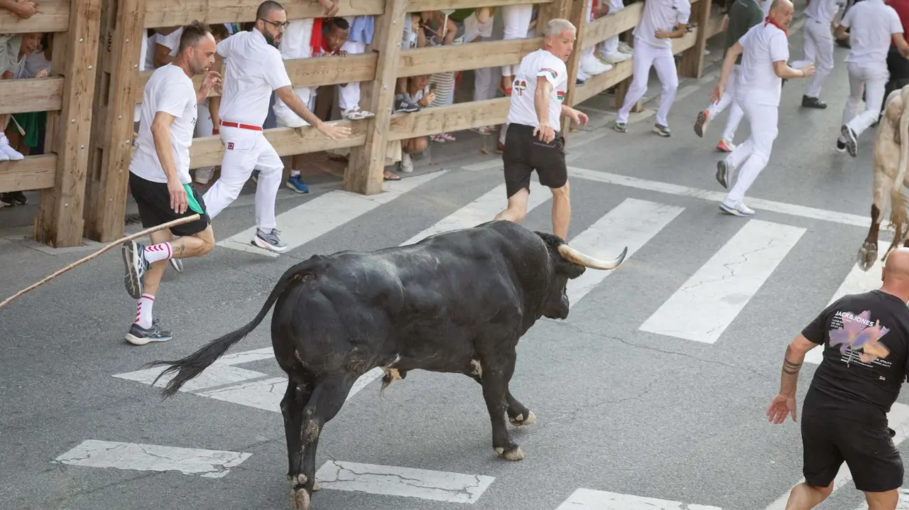 Primer encierro de Tafalla 2025 con toros de la ganadería del Conde de la Corte. Maite H. Mateo..-02