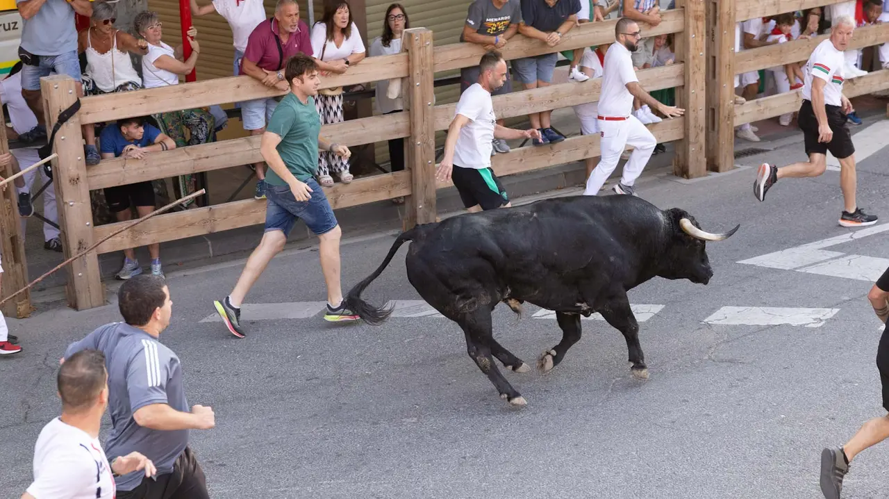 Primer encierro de Tafalla 2025 con toros de la ganadería del Conde de la Corte. Maite H. Mateo..-03