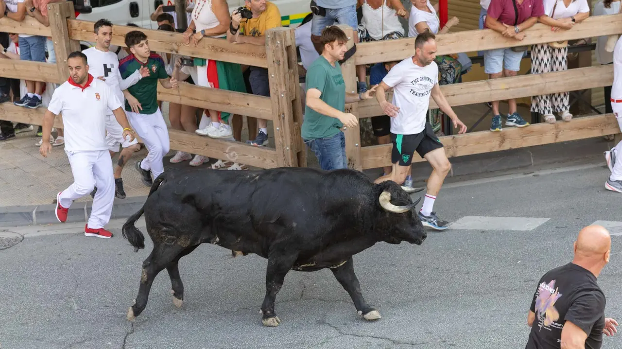 Primer encierro de Tafalla 2025 con toros de la ganadería del Conde de la Corte. Maite H. Mateo..-04