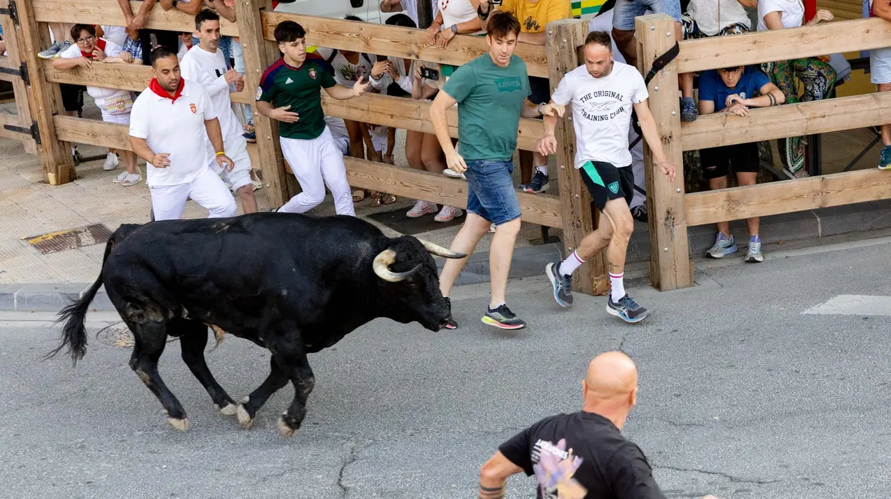 Primer encierro de Tafalla 2025 con toros de la ganadería del Conde de la Corte. Maite H. Mateo..-05
