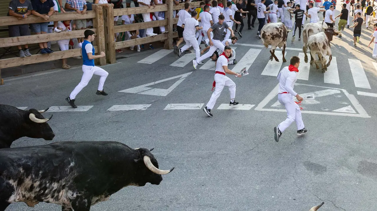 Primer encierro de Tafalla 2025 con toros de la ganadería del Conde de la Corte. Maite H. Mateo..-11