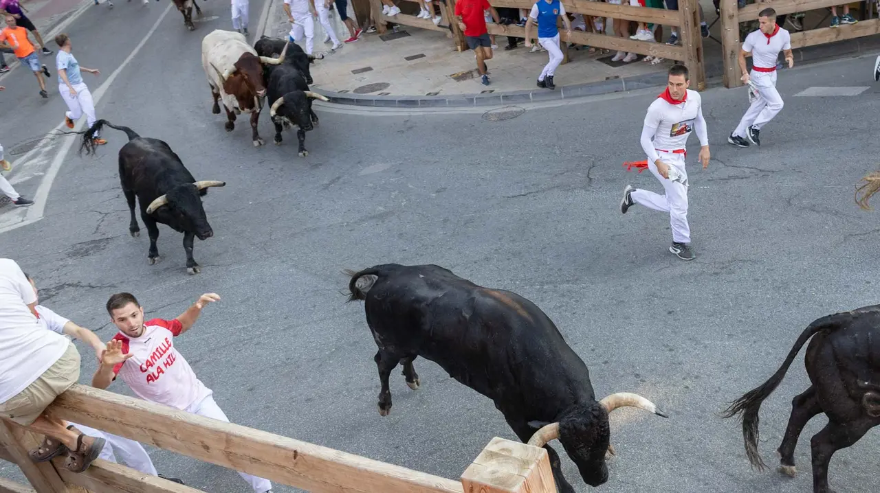 Primer encierro de Tafalla 2025 con toros de la ganadería del Conde de la Corte. Maite H. Mateo..-13