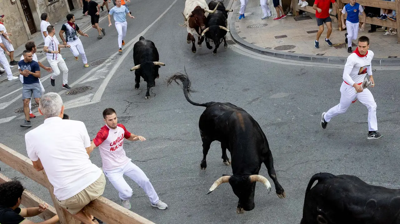Primer encierro de Tafalla 2025 con toros de la ganadería del Conde de la Corte. Maite H. Mateo..-14
