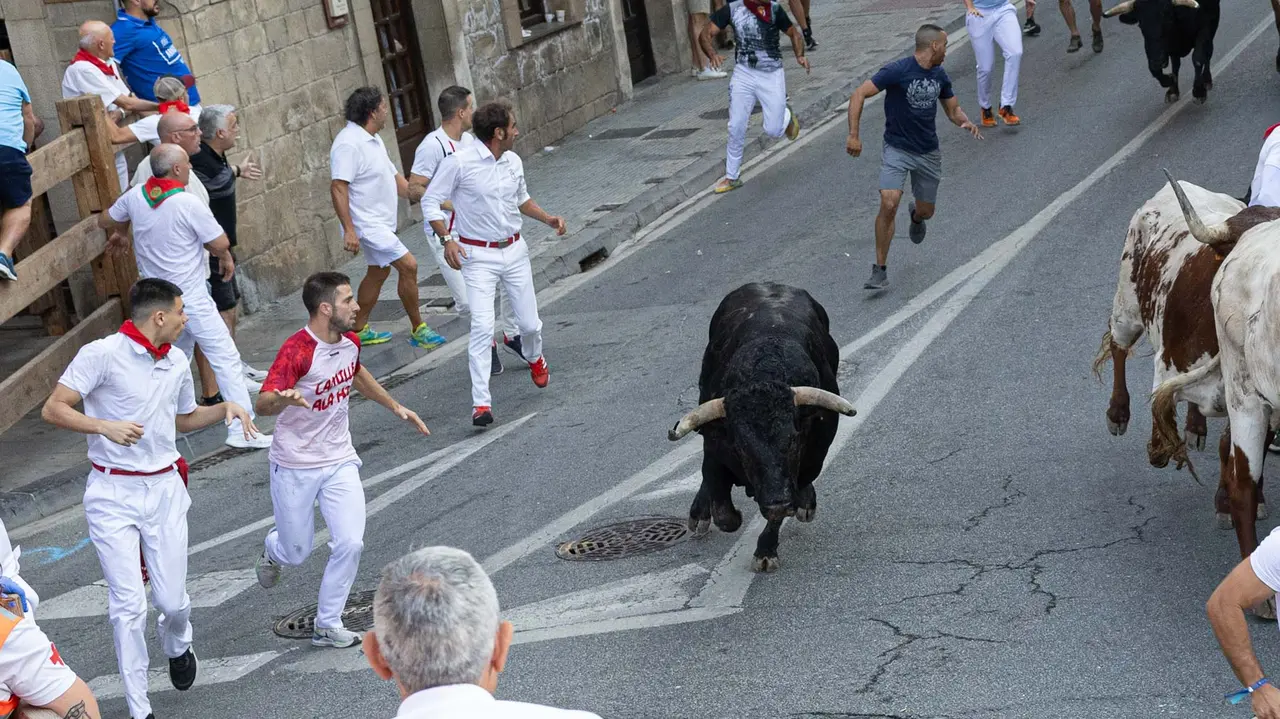 Primer encierro de Tafalla 2025 con toros de la ganadería del Conde de la Corte. Maite H. Mateo..-17