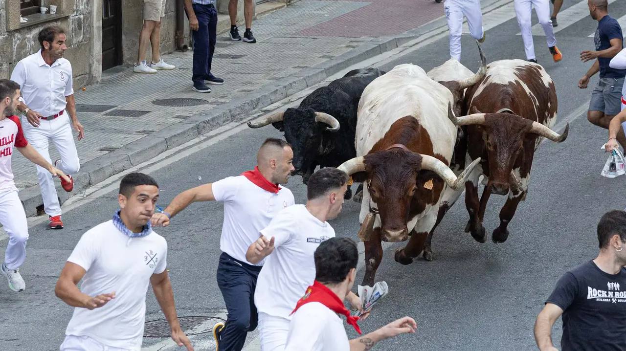 Primer encierro de Tafalla 2025 con toros de la ganadería del Conde de la Corte. Maite H. Mateo..-19