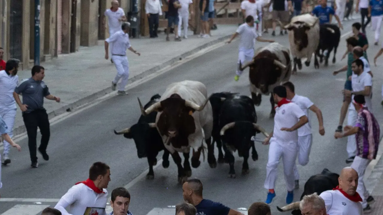 Primer encierro de Tafalla 2025 con toros de la ganadería del Conde de la Corte. Maite H. Mateo..-21