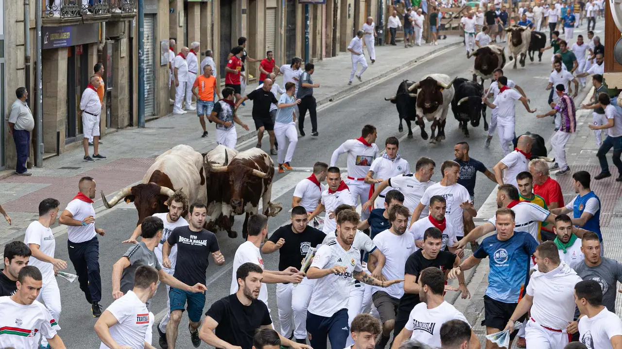 Primer encierro de Tafalla 2025 con toros de la ganadería del Conde de la Corte. Maite H. Mateo..-22