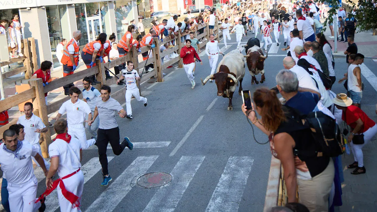 Primer encierro de las fiestas de Tafalla 2025 con toros de la ganadería del Conde de la Corte. IÑIGO ALZUGARAY