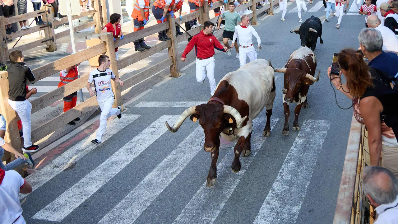 Primer encierro de las fiestas de Tafalla 2025 con toros de la ganadería del Conde de la Corte. IÑIGO ALZUGARAY