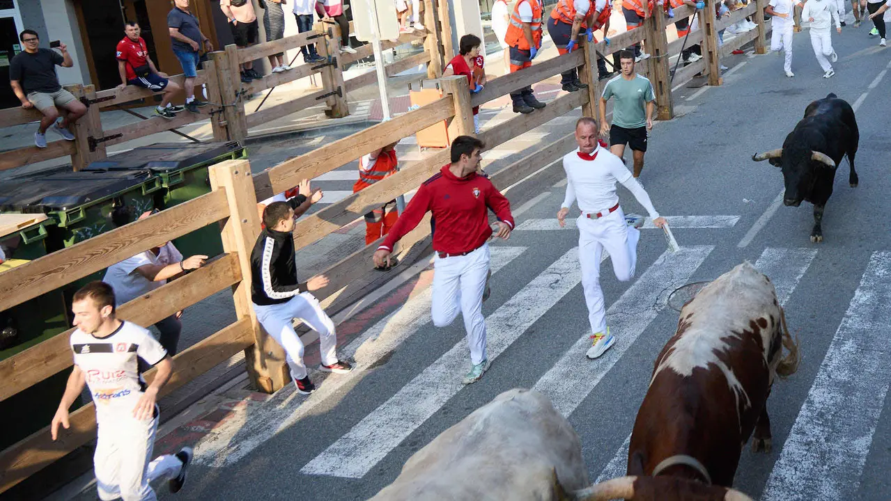Primer encierro de las fiestas de Tafalla 2025 con toros de la ganadería del Conde de la Corte. IÑIGO ALZUGARAY