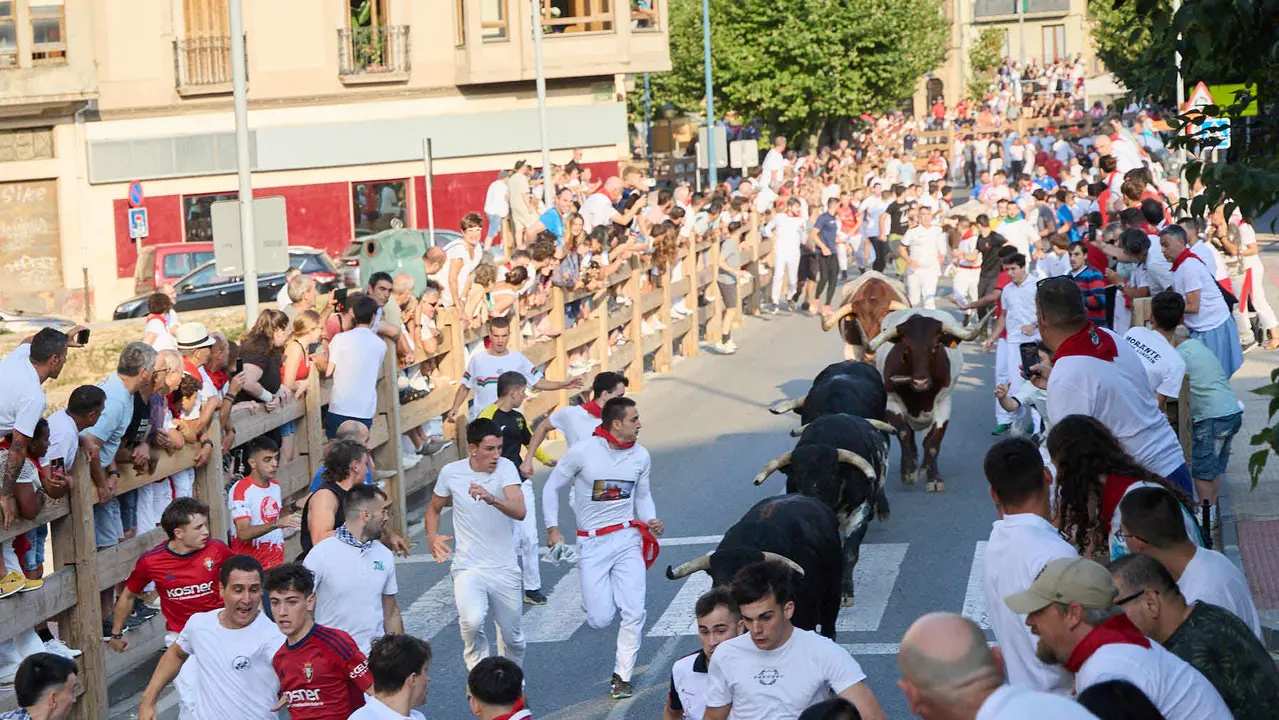 Primer encierro de las fiestas de Tafalla 2025 con toros de la ganadería del Conde de la Corte. IÑIGO ALZUGARAY