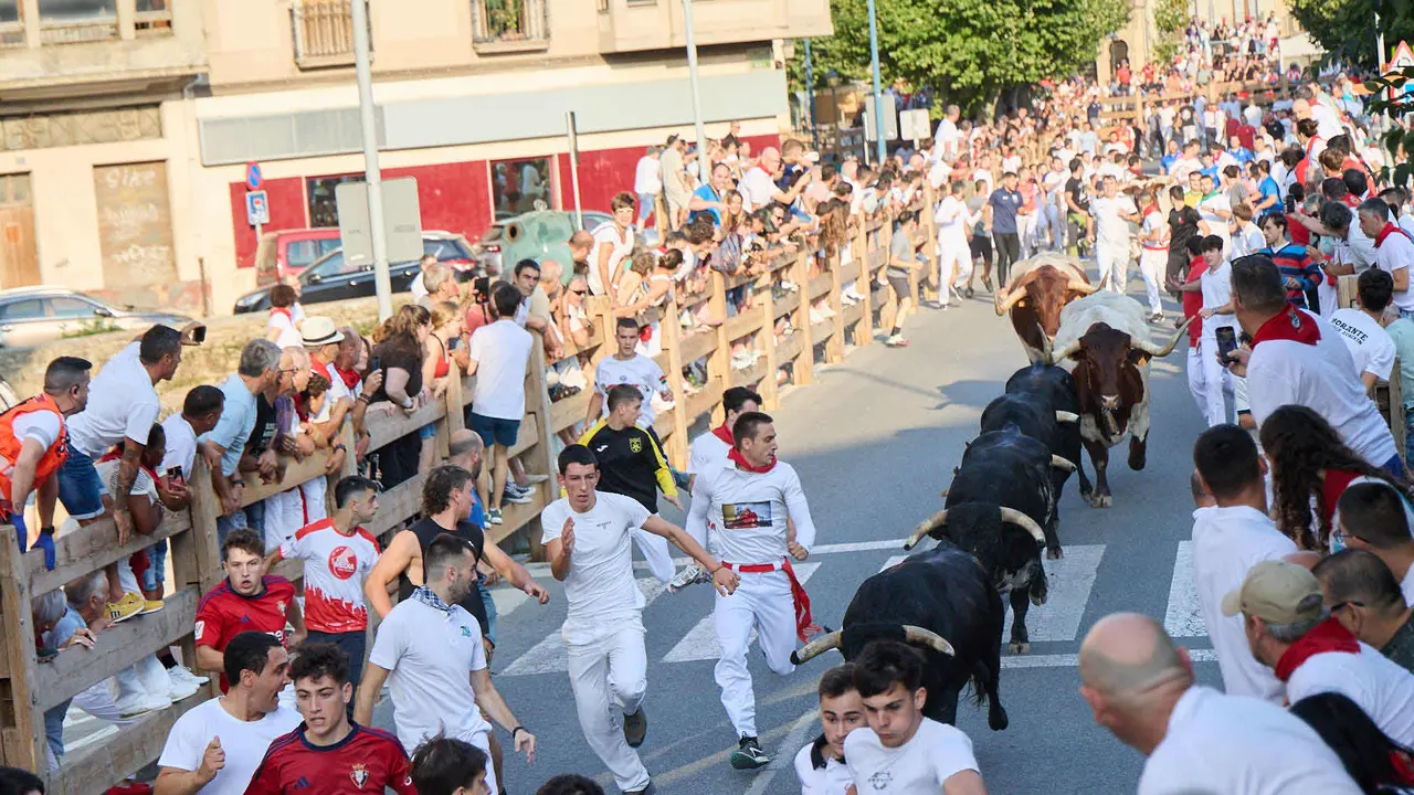 Primer encierro de las fiestas de Tafalla 2025 con toros de la ganadería del Conde de la Corte. IÑIGO ALZUGARAY