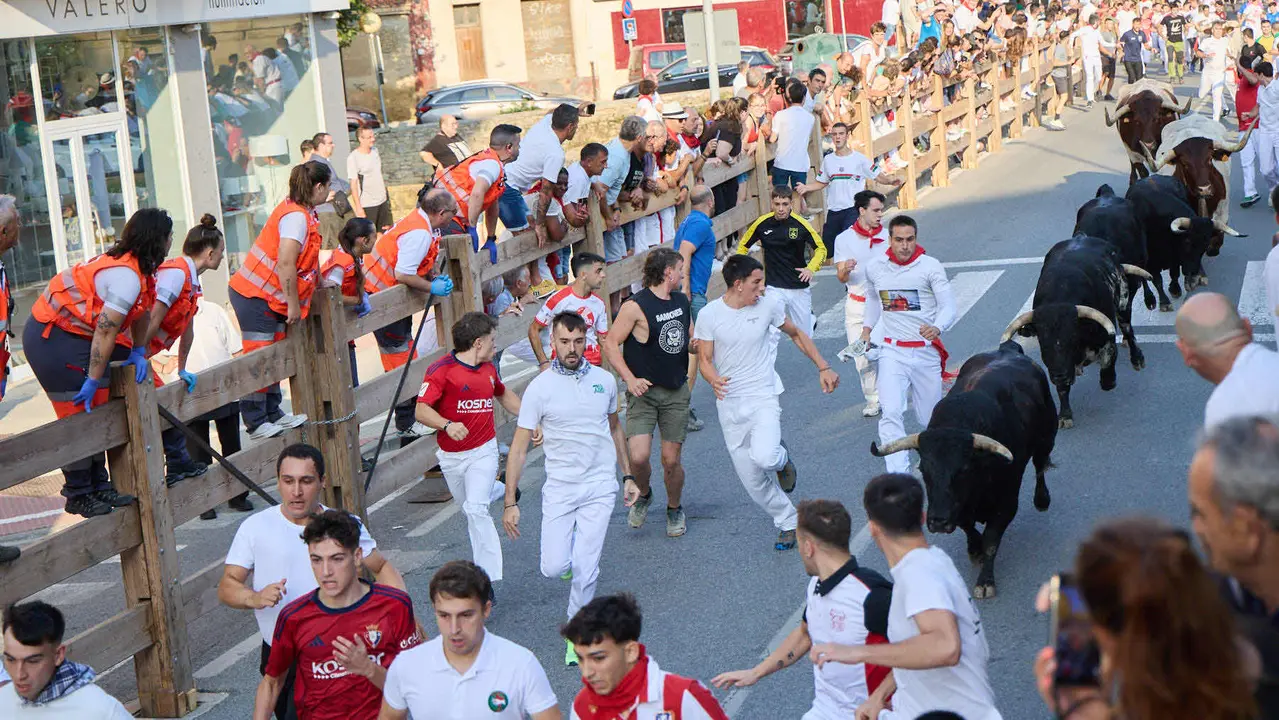 Primer encierro de las fiestas de Tafalla 2025 con toros de la ganadería del Conde de la Corte. IÑIGO ALZUGARAY