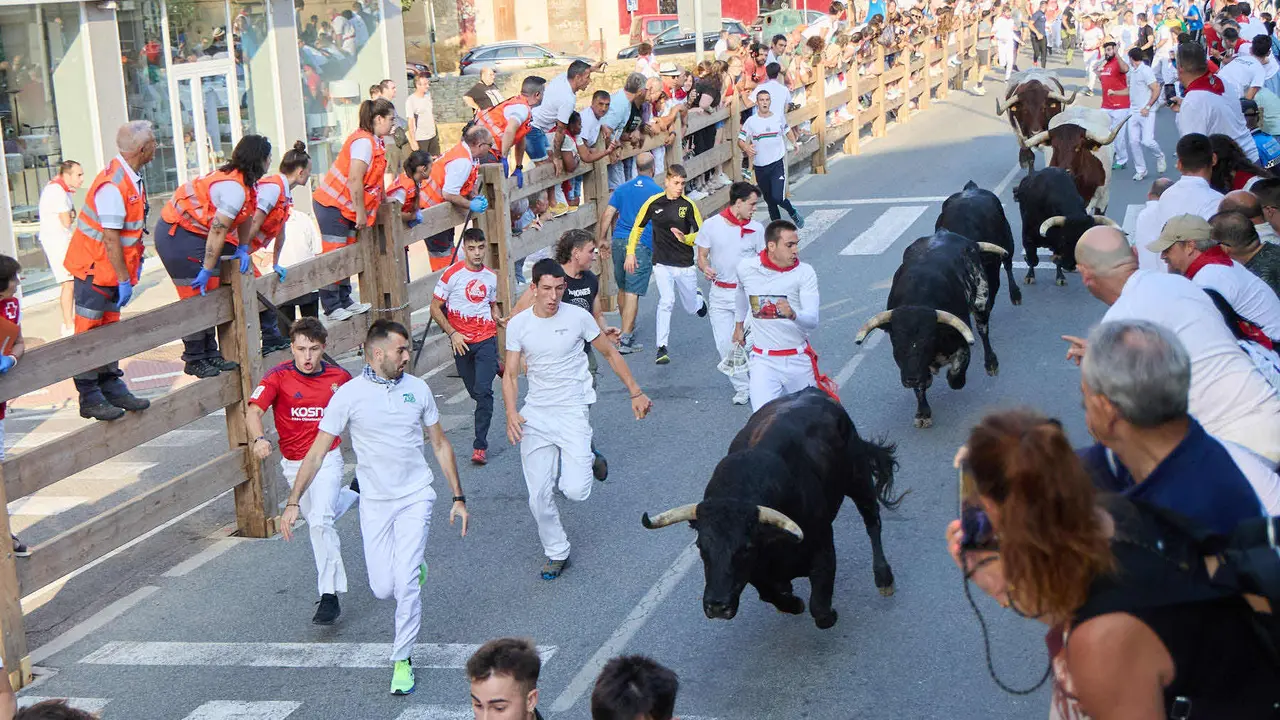 Primer encierro de las fiestas de Tafalla 2025 con toros de la ganadería del Conde de la Corte. IÑIGO ALZUGARAY