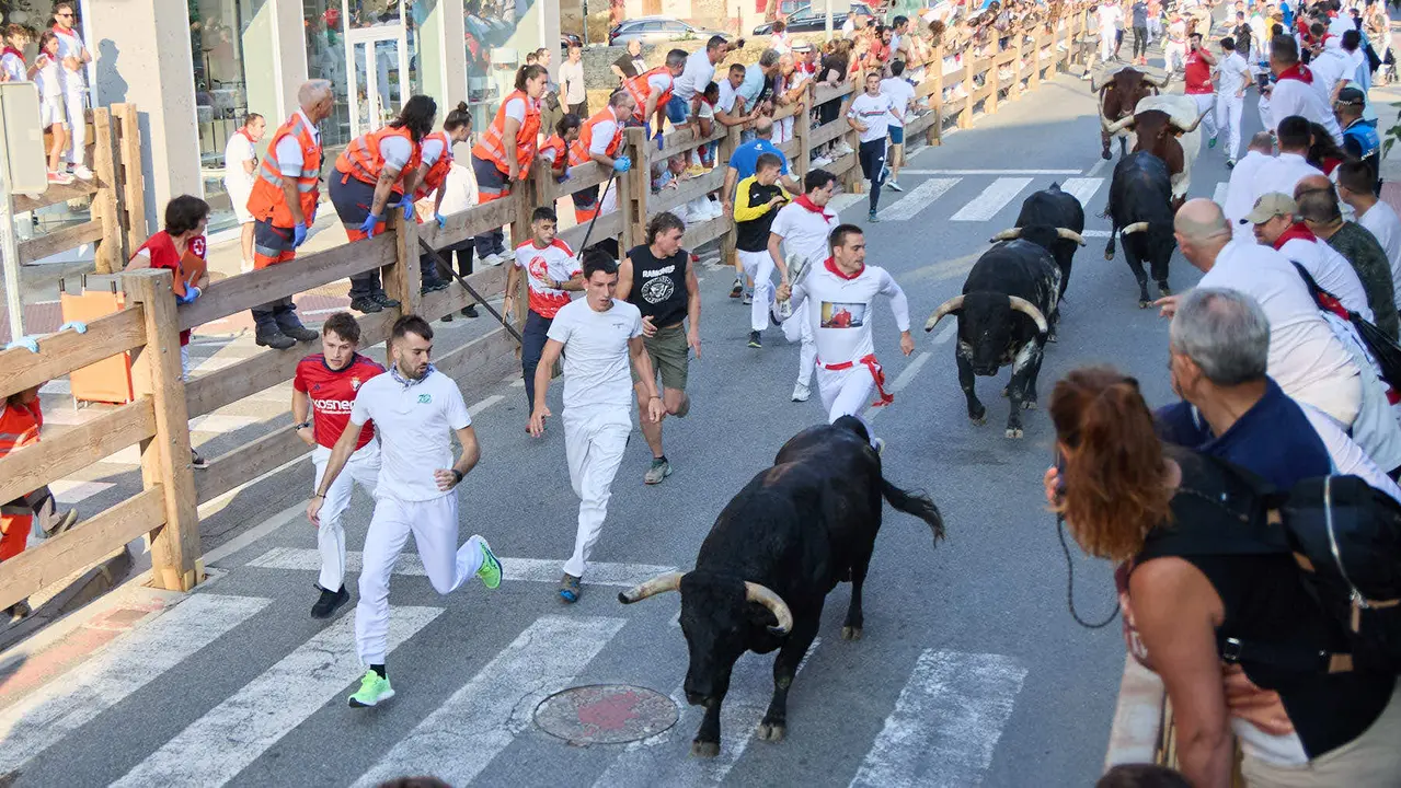 Primer encierro de las fiestas de Tafalla 2025 con toros de la ganadería del Conde de la Corte. IÑIGO ALZUGARAY