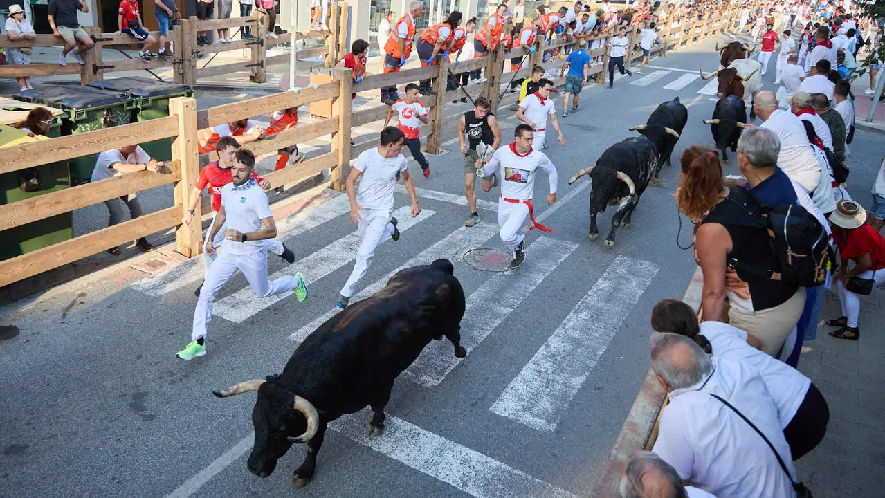 Primer encierro de las fiestas de Tafalla 2025 con toros de la ganadería del Conde de la Corte. IÑIGO ALZUGARAY