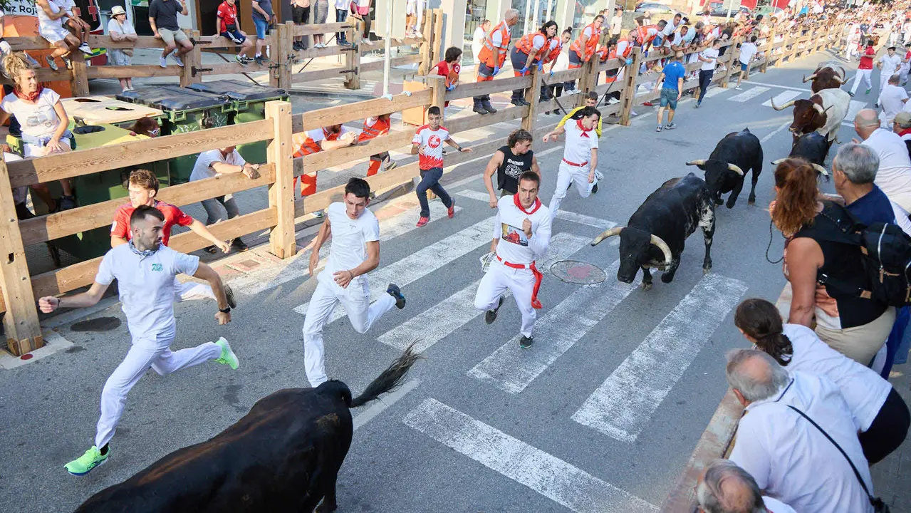 Primer encierro de las fiestas de Tafalla 2025 con toros de la ganadería del Conde de la Corte. IÑIGO ALZUGARAY