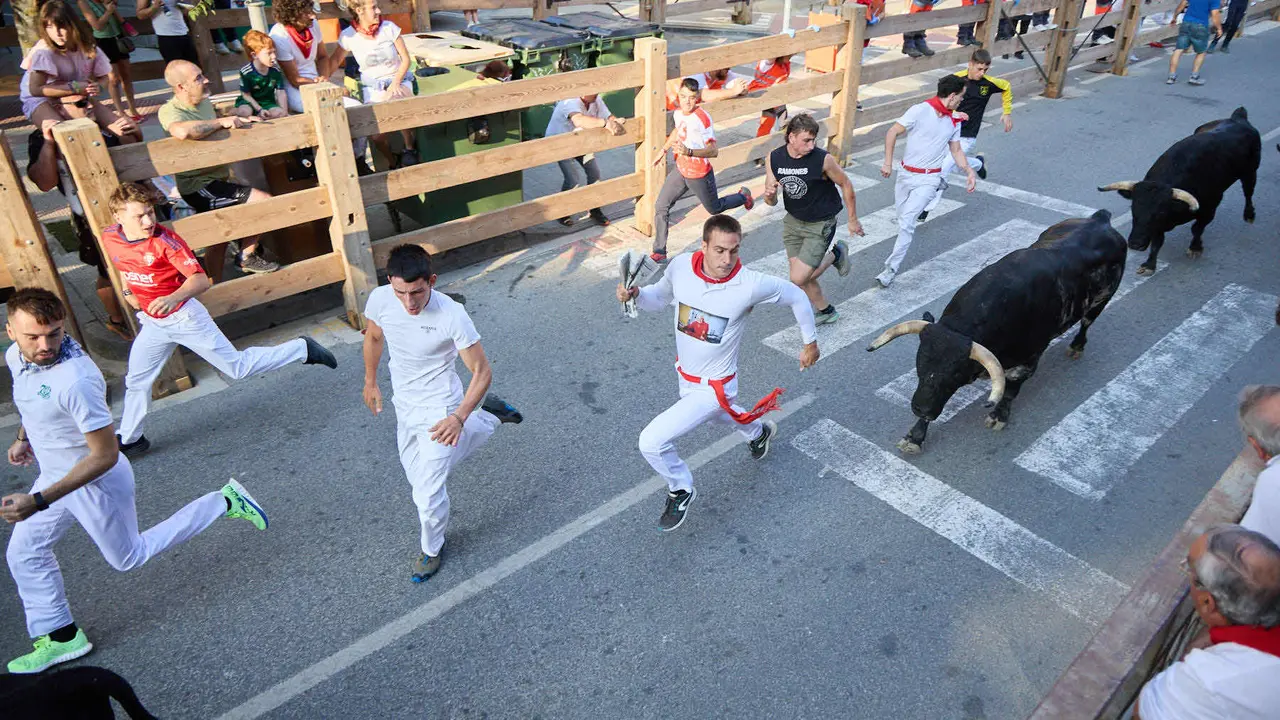 Primer encierro de las fiestas de Tafalla 2025 con toros de la ganadería del Conde de la Corte. IÑIGO ALZUGARAY