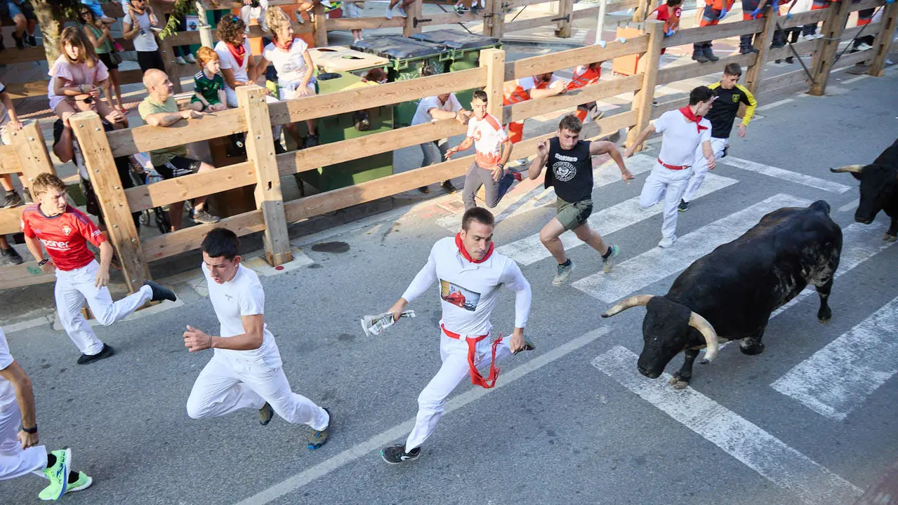 Primer encierro de las fiestas de Tafalla 2025 con toros de la ganadería del Conde de la Corte. IÑIGO ALZUGARAY