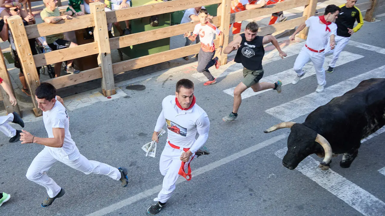 Primer encierro de las fiestas de Tafalla 2025 con toros de la ganadería del Conde de la Corte. IÑIGO ALZUGARAY