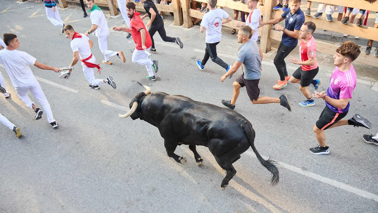 Primer encierro de las fiestas de Tafalla 2025 con toros de la ganadería del Conde de la Corte. IÑIGO ALZUGARAY