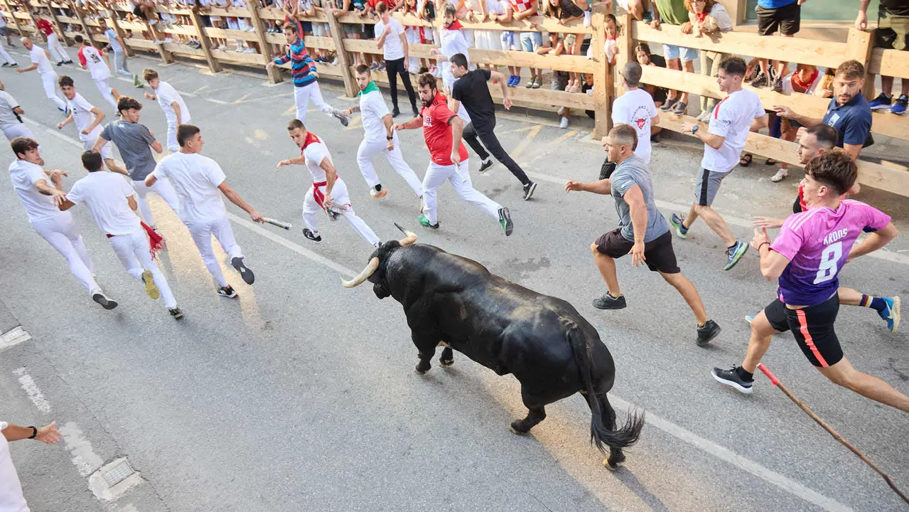 Primer encierro de las fiestas de Tafalla 2025 con toros de la ganadería del Conde de la Corte. IÑIGO ALZUGARAY