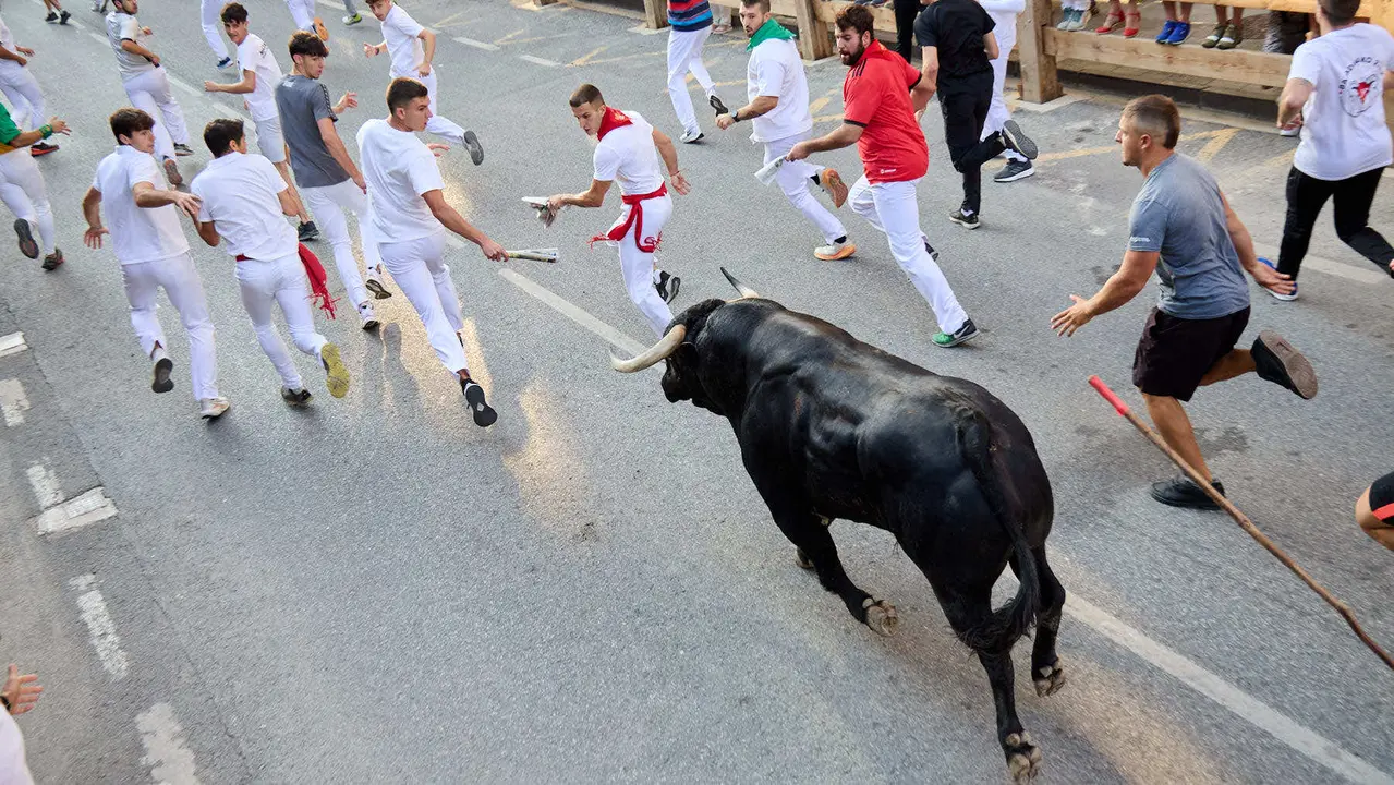 Primer encierro de las fiestas de Tafalla 2025 con toros de la ganadería del Conde de la Corte. IÑIGO ALZUGARAY