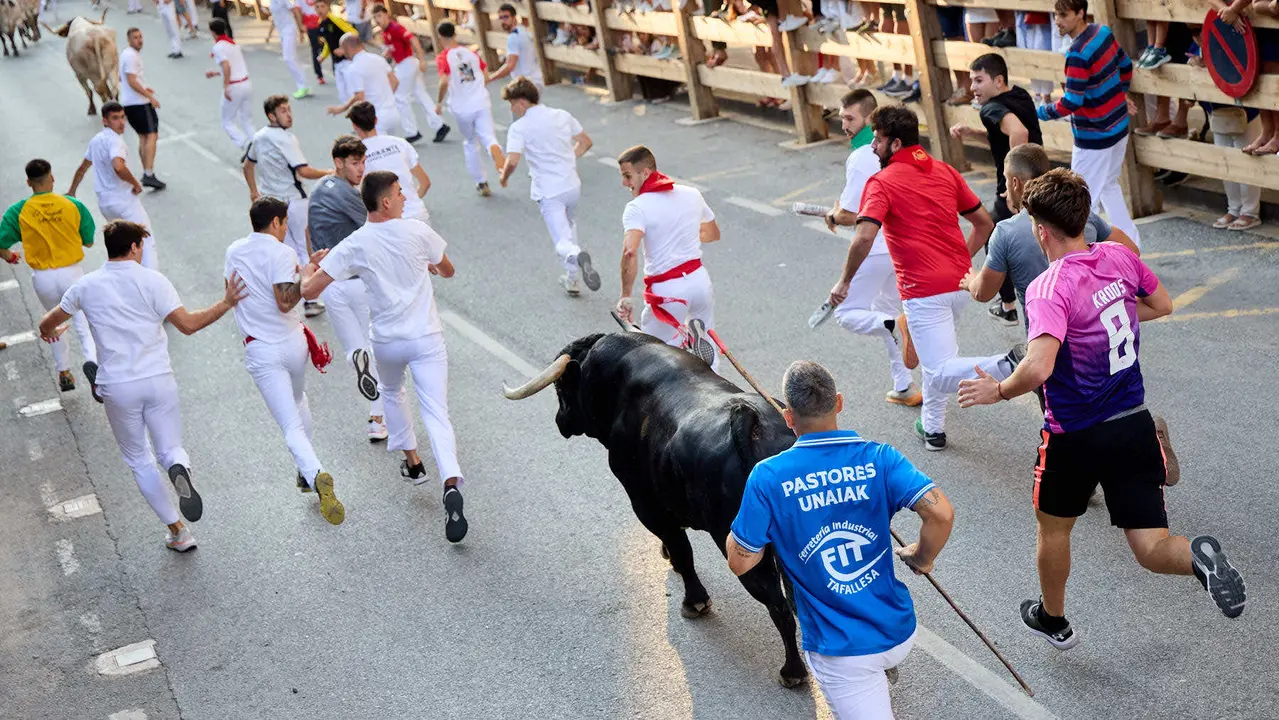 Primer encierro de las fiestas de Tafalla 2025 con toros de la ganadería del Conde de la Corte. IÑIGO ALZUGARAY