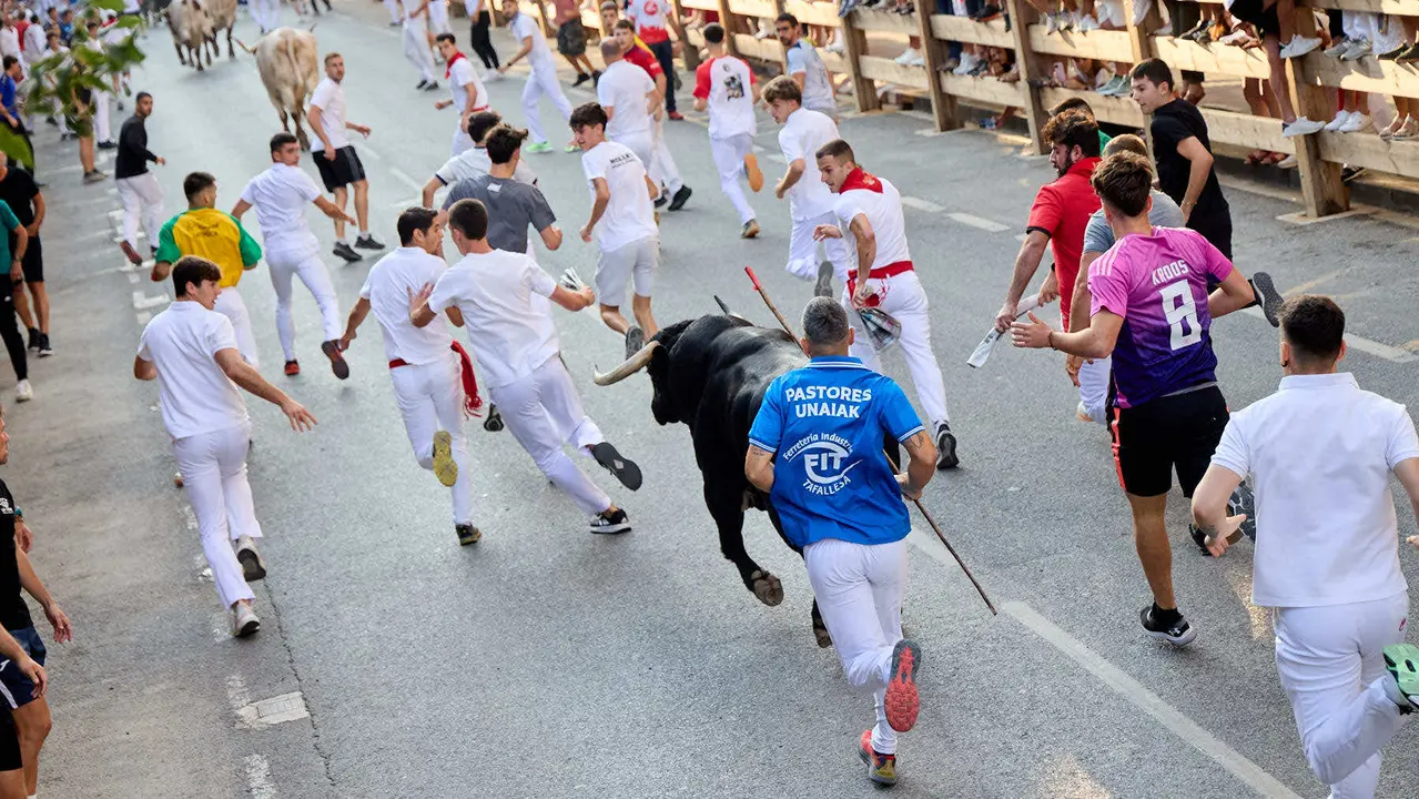 Primer encierro de las fiestas de Tafalla 2025 con toros de la ganadería del Conde de la Corte. IÑIGO ALZUGARAY