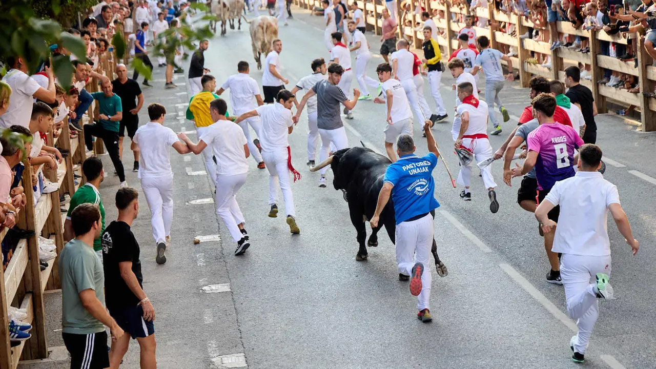 Primer encierro de las fiestas de Tafalla 2025 con toros de la ganadería del Conde de la Corte. IÑIGO ALZUGARAY