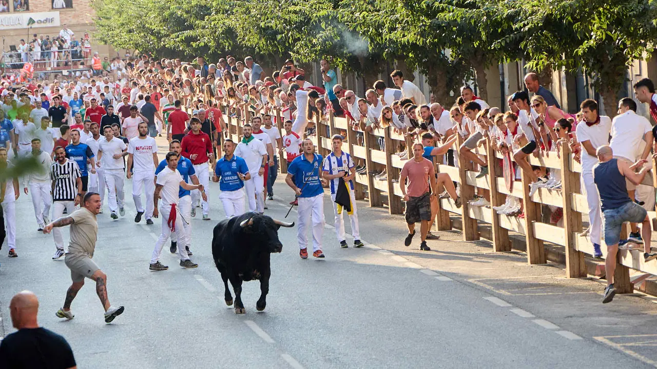 Primer encierro de las fiestas de Tafalla 2025 con toros de la ganadería del Conde de la Corte. IÑIGO ALZUGARAY