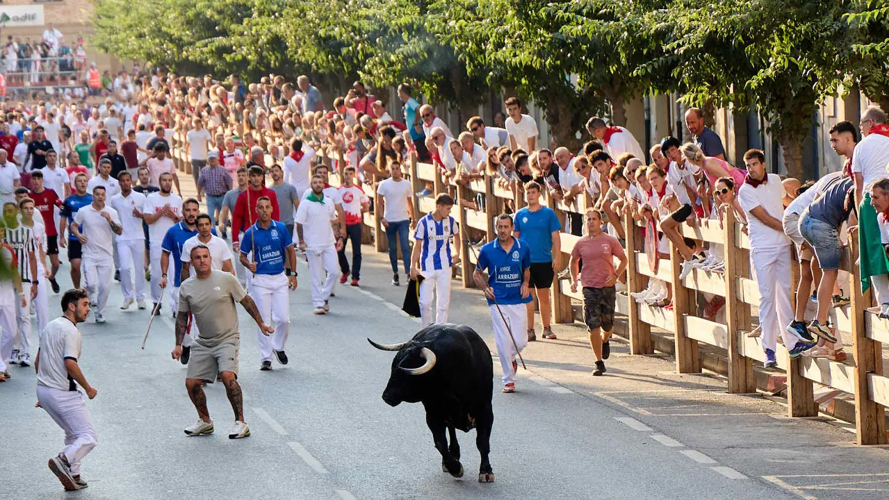 Primer encierro de las fiestas de Tafalla 2025 con toros de la ganadería del Conde de la Corte. IÑIGO ALZUGARAY
