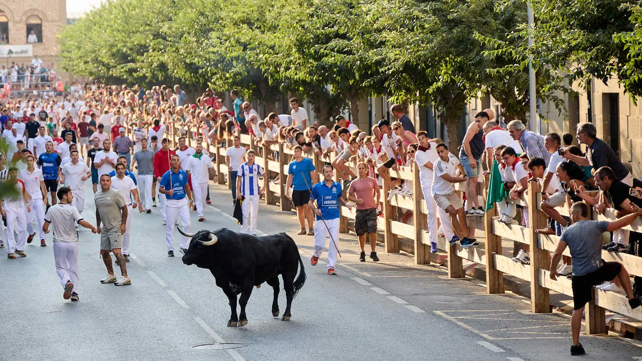 Primer encierro de las fiestas de Tafalla 2025 con toros de la ganadería del Conde de la Corte. IÑIGO ALZUGARAY
