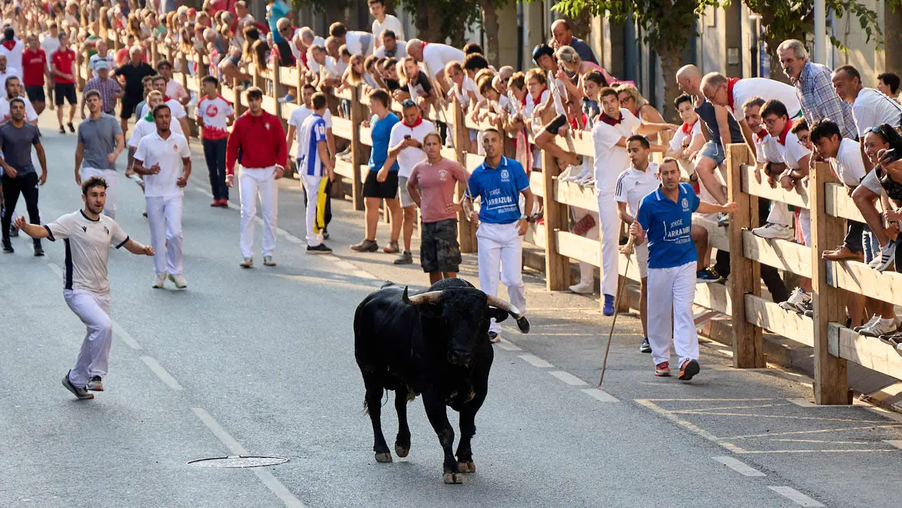 Primer encierro de las fiestas de Tafalla 2025 con toros de la ganadería del Conde de la Corte. IÑIGO ALZUGARAY
