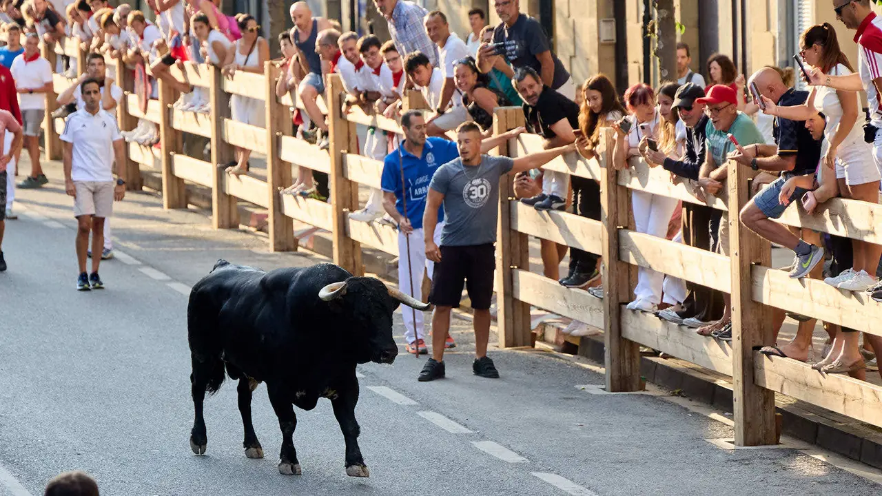 Primer encierro de las fiestas de Tafalla 2025 con toros de la ganadería del Conde de la Corte. IÑIGO ALZUGARAY