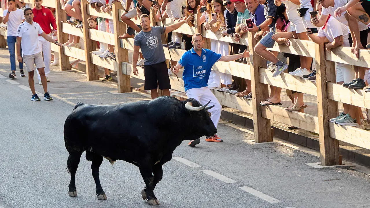 Primer encierro de las fiestas de Tafalla 2025 con toros de la ganadería del Conde de la Corte. IÑIGO ALZUGARAY