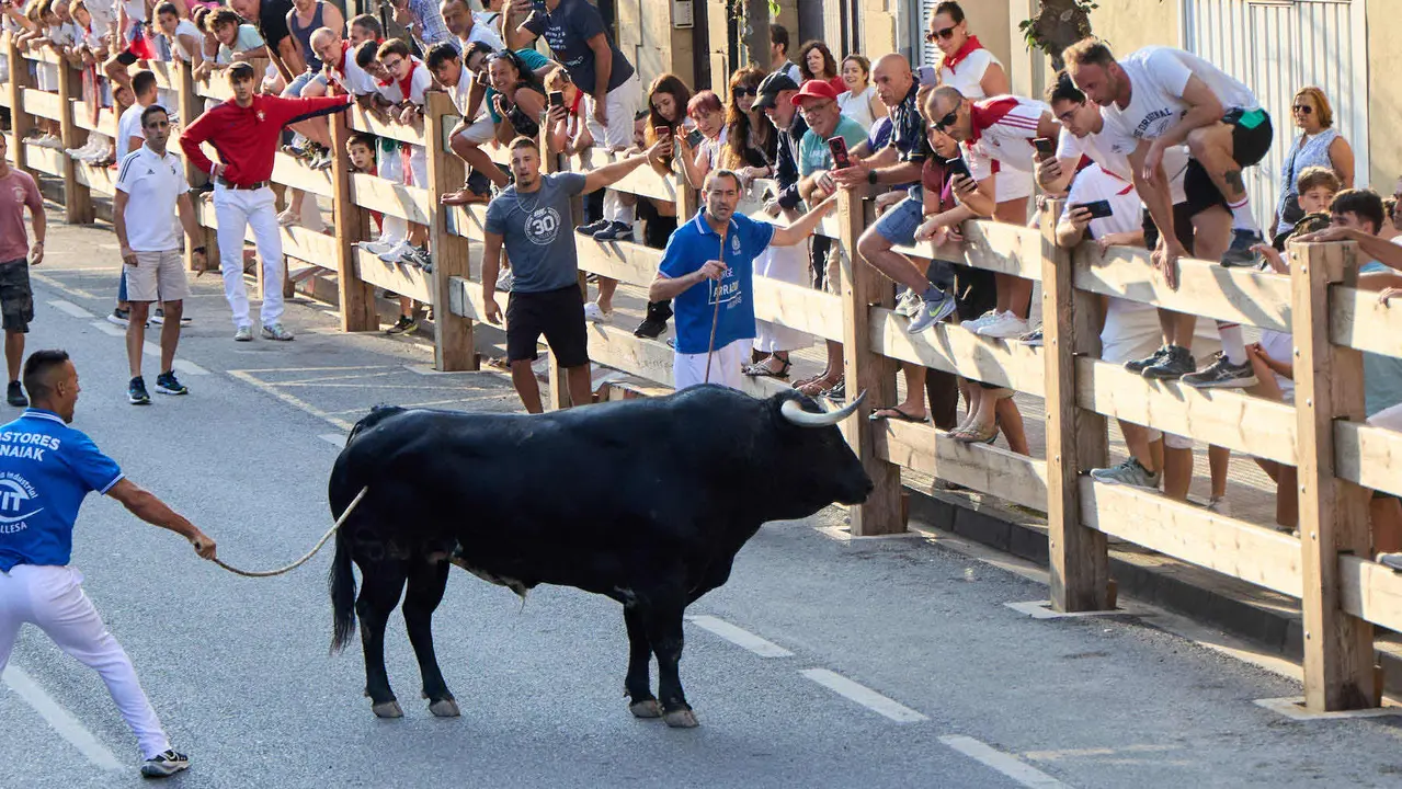 Primer encierro de las fiestas de Tafalla 2025 con toros de la ganadería del Conde de la Corte. IÑIGO ALZUGARAY