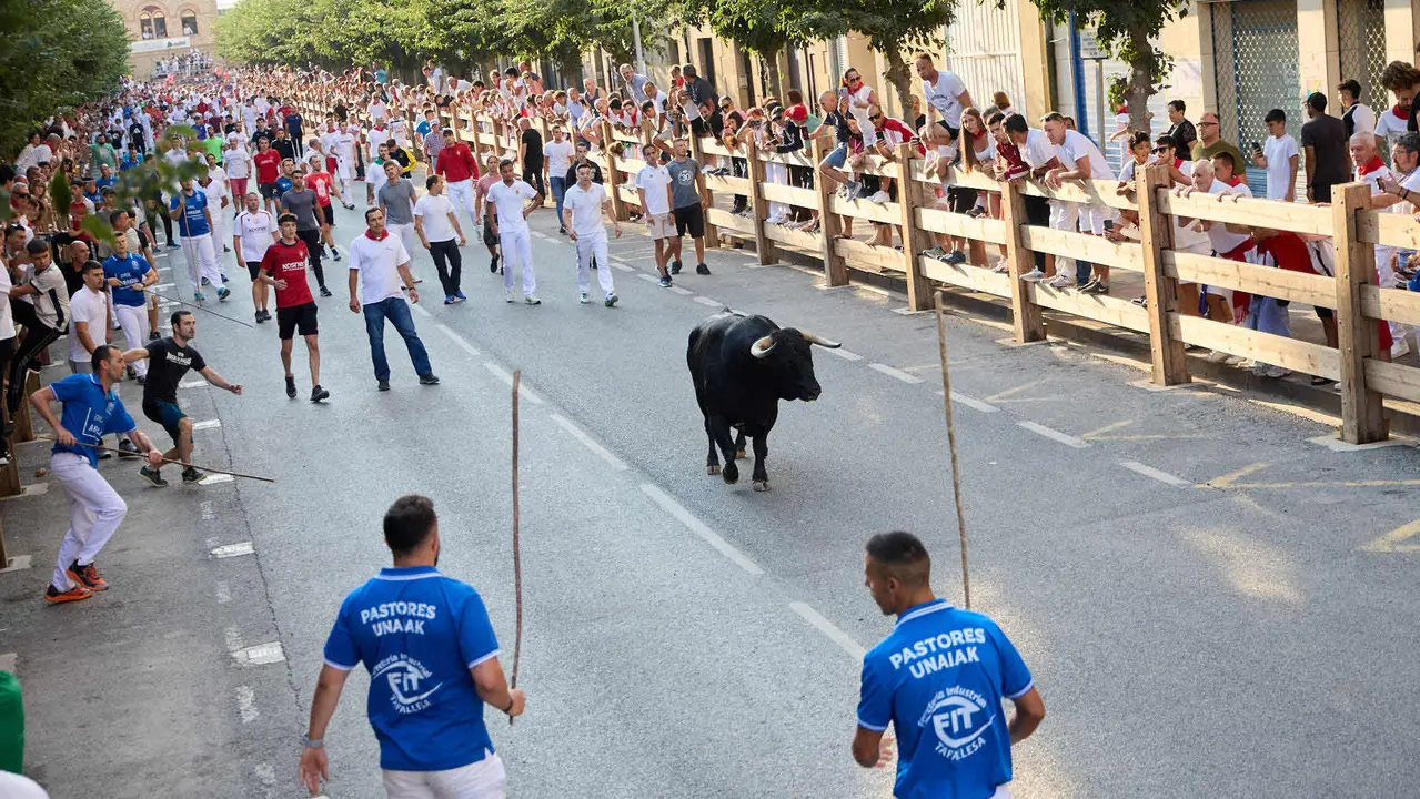 Primer encierro de las fiestas de Tafalla 2025 con toros de la ganadería del Conde de la Corte. IÑIGO ALZUGARAY