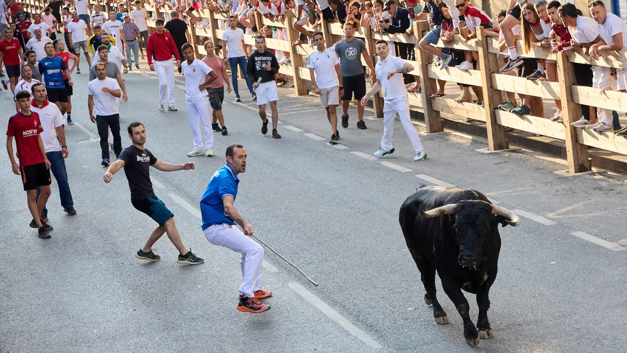 Primer encierro de las fiestas de Tafalla 2025 con toros de la ganadería del Conde de la Corte. IÑIGO ALZUGARAY
