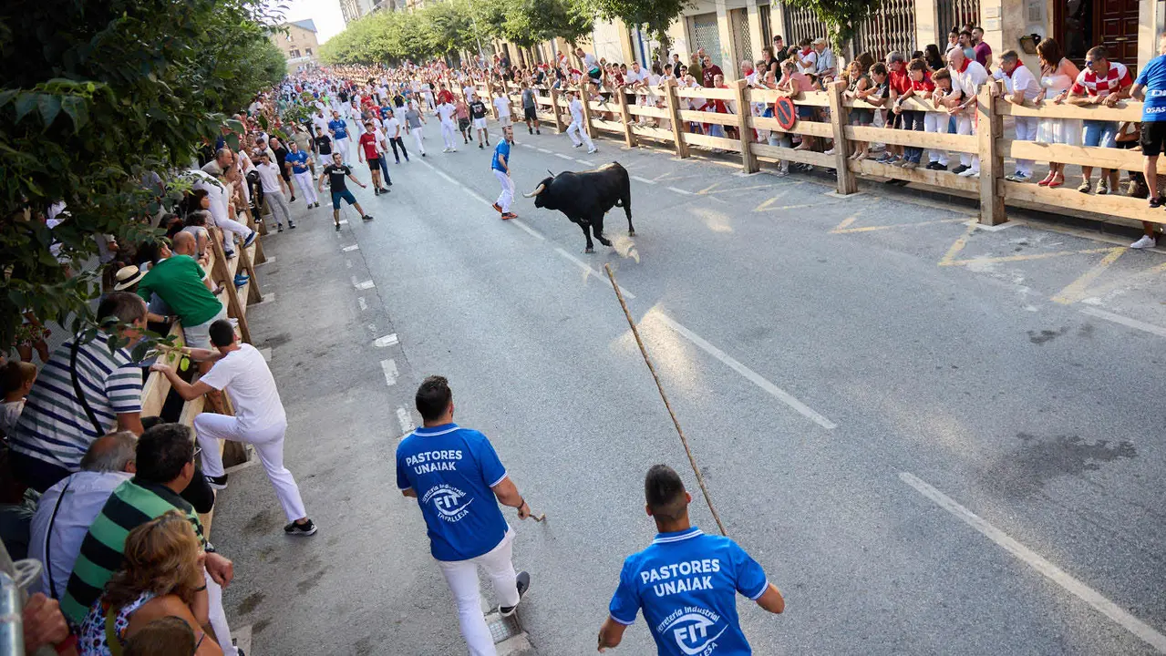 Primer encierro de las fiestas de Tafalla 2025 con toros de la ganadería del Conde de la Corte. IÑIGO ALZUGARAY