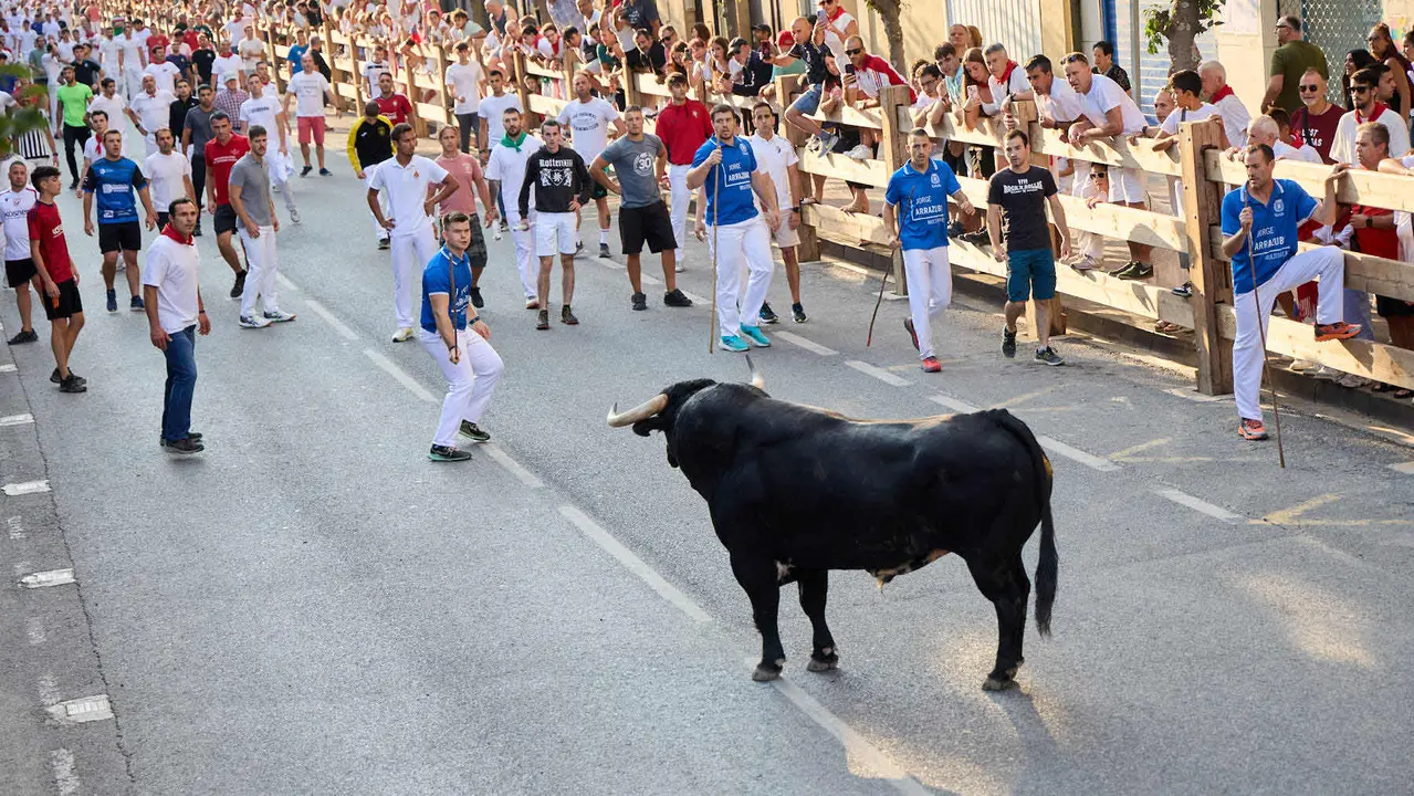 Primer encierro de las fiestas de Tafalla 2025 con toros de la ganadería del Conde de la Corte. IÑIGO ALZUGARAY