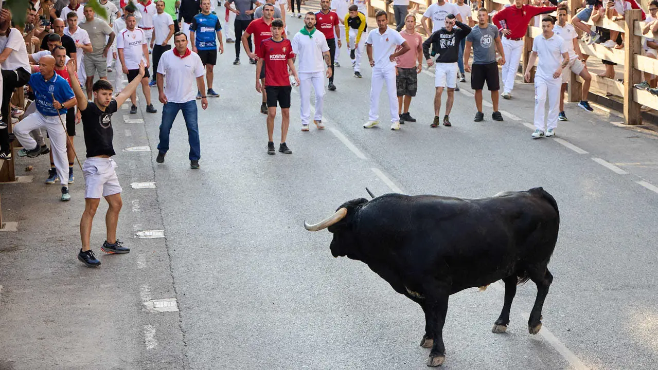 Primer encierro de las fiestas de Tafalla 2025 con toros de la ganadería del Conde de la Corte. IÑIGO ALZUGARAY