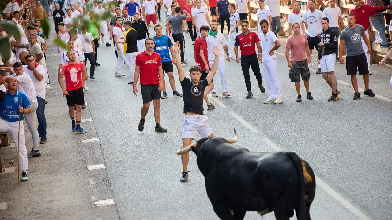 Primer encierro de las fiestas de Tafalla 2025 con toros de la ganadería del Conde de la Corte. IÑIGO ALZUGARAY