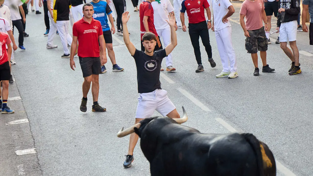Primer encierro de las fiestas de Tafalla 2025 con toros de la ganadería del Conde de la Corte. IÑIGO ALZUGARAY
